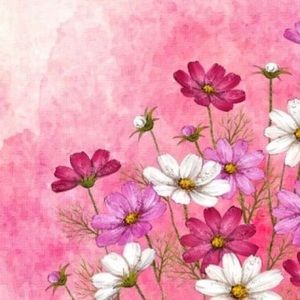 Meet your Posher, Deanna